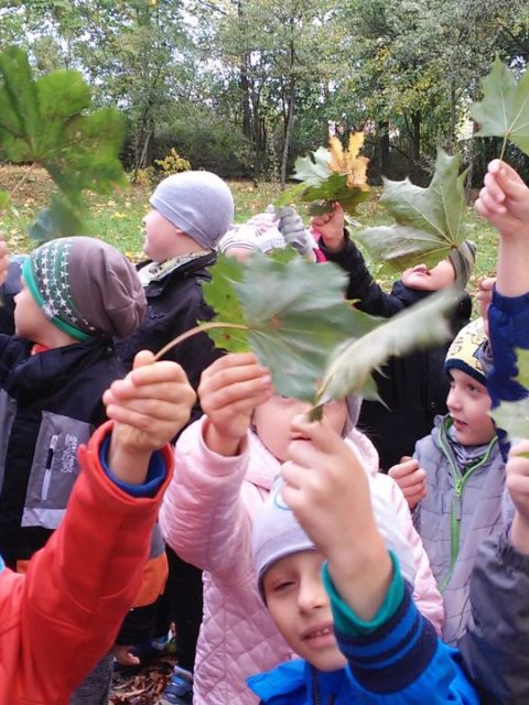 Dzieci zbierają liście w parku