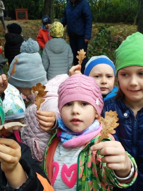 Dzieci zbierają liście w parku